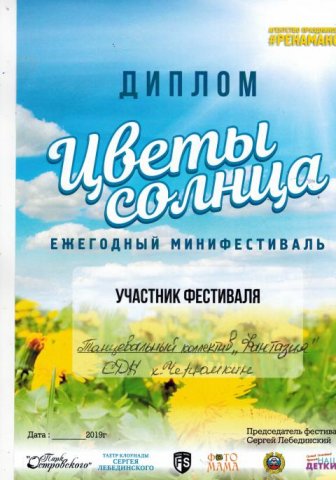Наши достижения 2019 года
